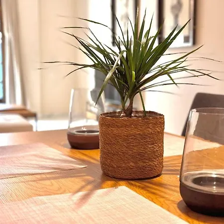 Apartamento En Pleno Centro Con Aparcamiento Opcional